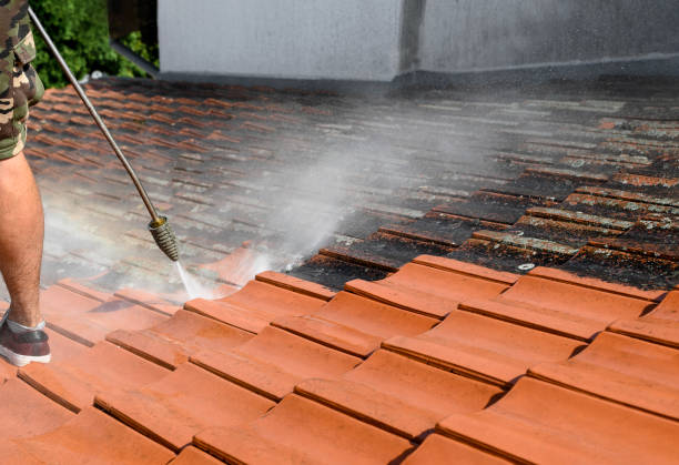 Best Pressure Washing Company Near Me  in Lacoochee, FL