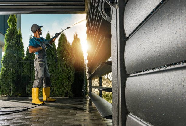 Best Roof Pressure Washing  in Lacoochee, FL