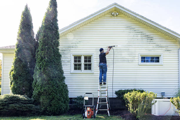 Best Concrete Pressure Washing  in Lacoochee, FL