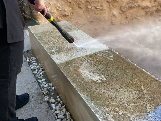 Best Roof Power Washing Services  in Lacoochee, FL