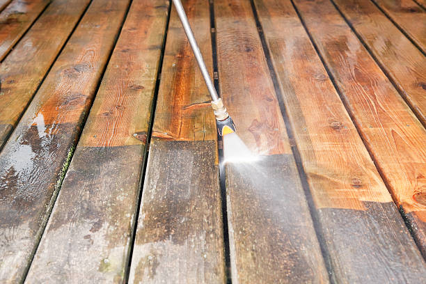 Roof Power Washing Services in Lacoochee, FL