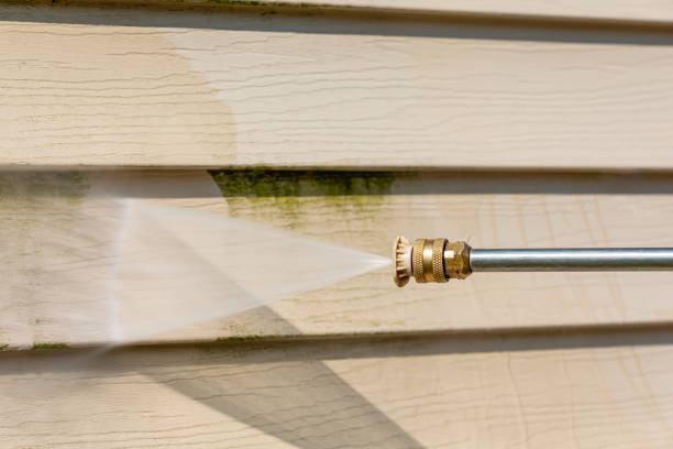 Trusted Lacoochee, FL Pressure Washing Experts