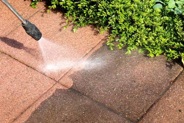 Best Power Washing Near Me  in Lacoochee, FL